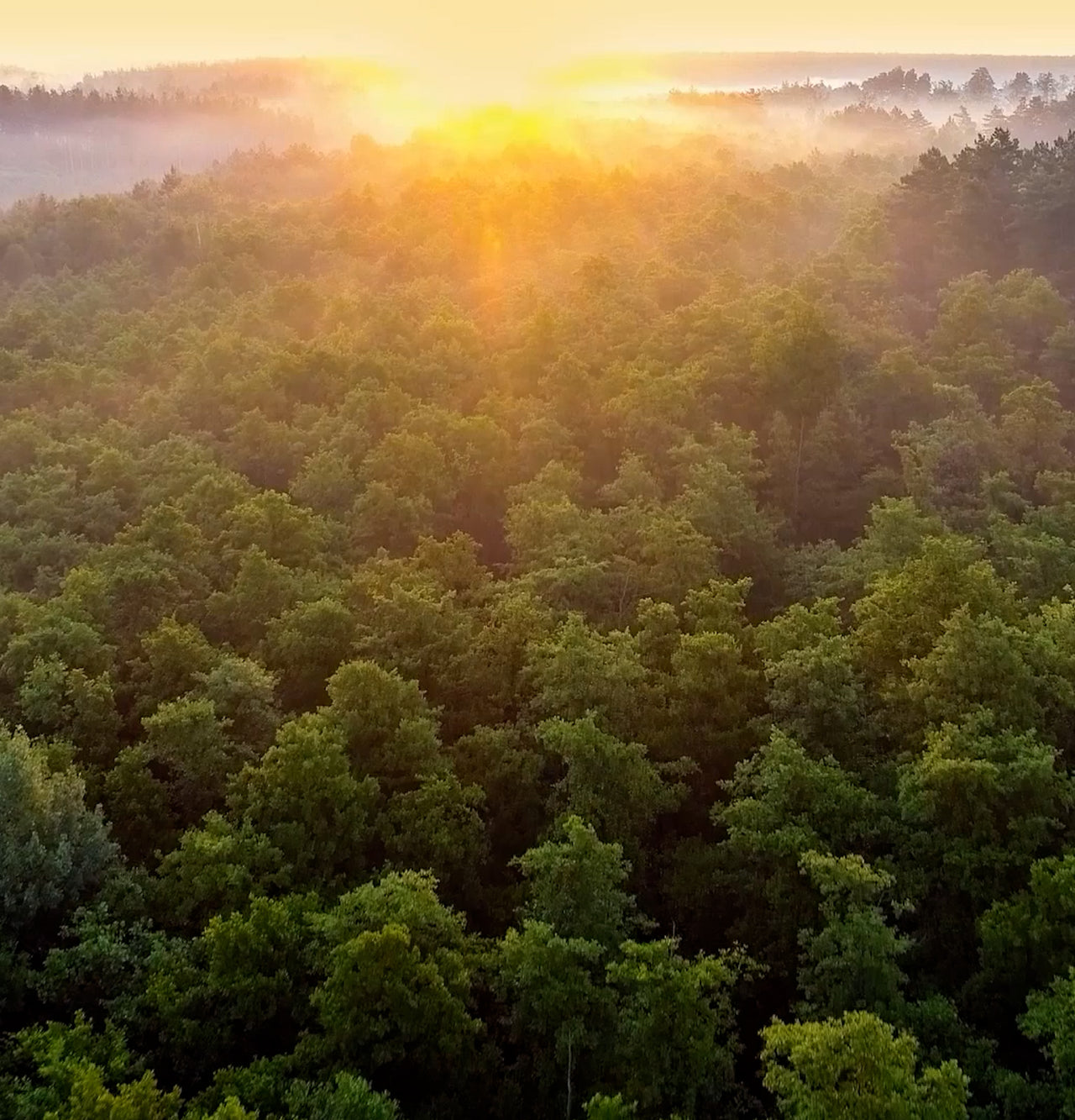 Criando um mundo mais limpo